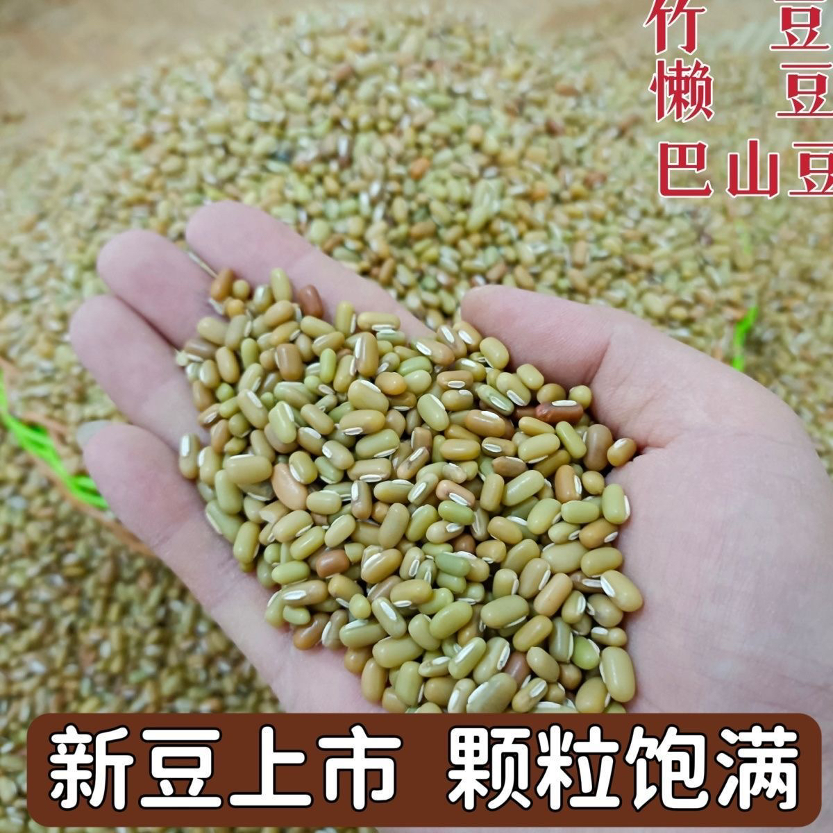 竹豆爬山豆农家米豆饭豆新豆巴山豆贵州懒豆小豆批发新鲜懒豆眉豆