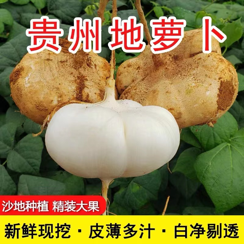 贵州地萝卜农家凉薯白地瓜沙孕妇水果番薯水果萝卜豆薯净含量3斤