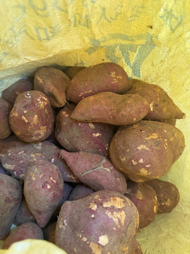 农户自种南瓜红薯