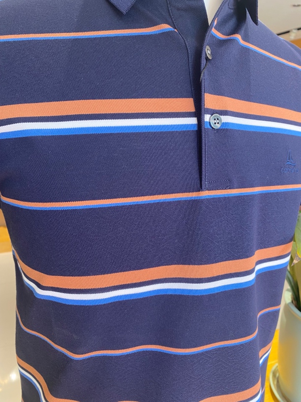 夏季休闲条纹t恤半袖