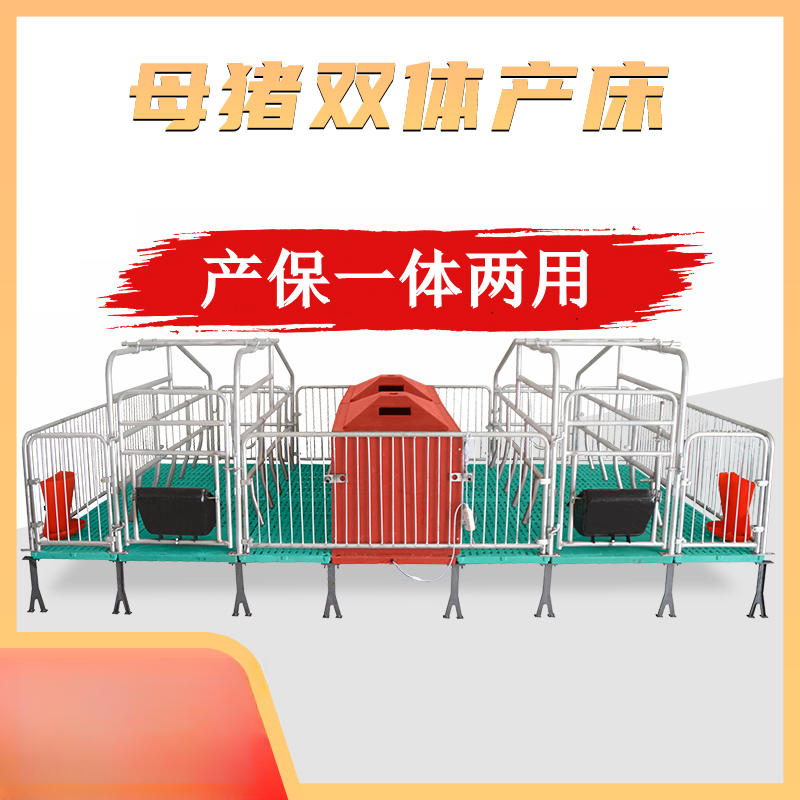 双体母猪产保一体产床限位栏定位栏热镀锌管仔猪保育床养猪设备