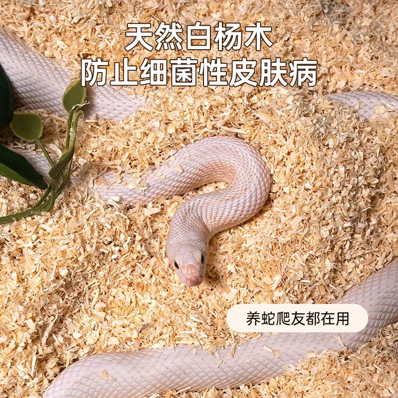 爬宠宠物蛇垫材白杨木屑玩具蛇蛇类饲养箱专用垫材柔软吸湿无尘