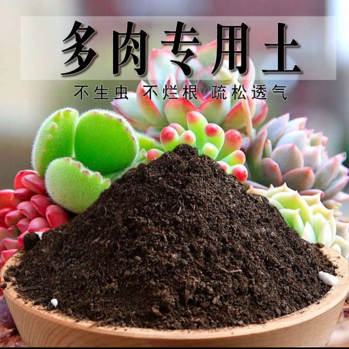 营养土专拍 满12.9包邮