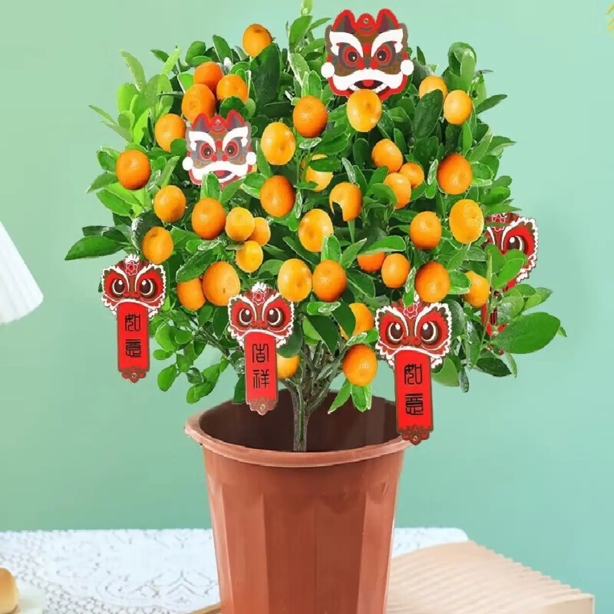 金桔2代脆皮金桔羊奶桔四季长青室内盆栽一物-一拍直播选苗阳台-