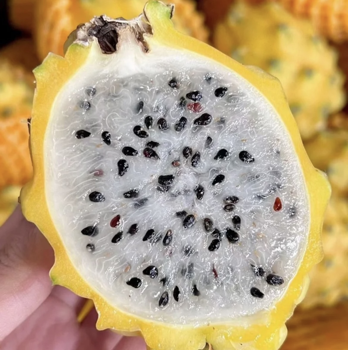 好吃的燕窝果一个
