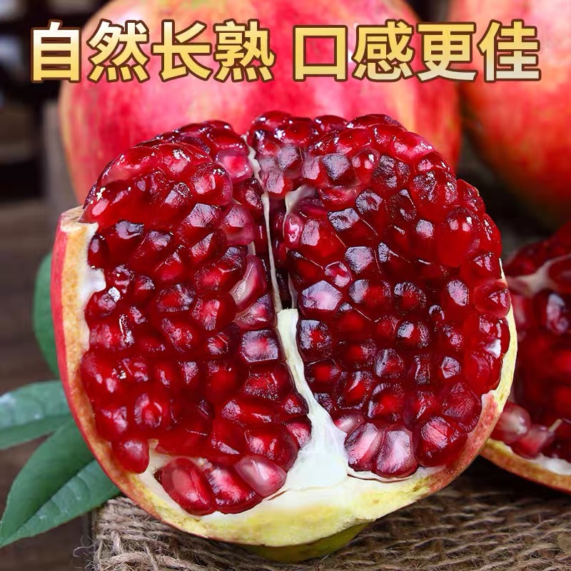 【坏果包赔】会理软籽石榴 带箱5斤5-7个装 250-350克/个 香甜爆汁Y