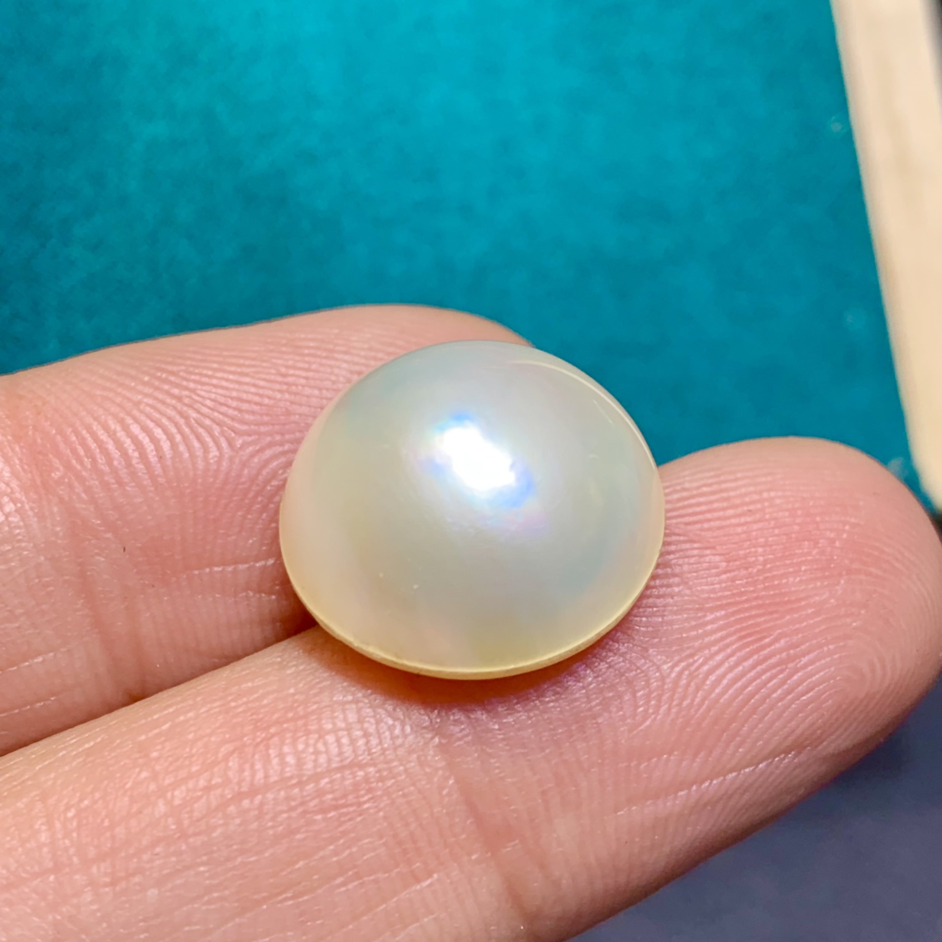 16毫米马贝珠裸珠颜色均匀面部干净大颗粒