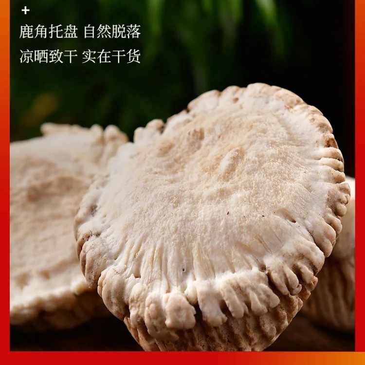 长白山鹿角帽鹿托盘粉 250克/瓶