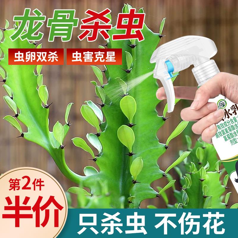 龙骨杀虫剂花卉植物土壤灭盆栽小飞虫药蚧壳虫蚜虫打虫家用治虫