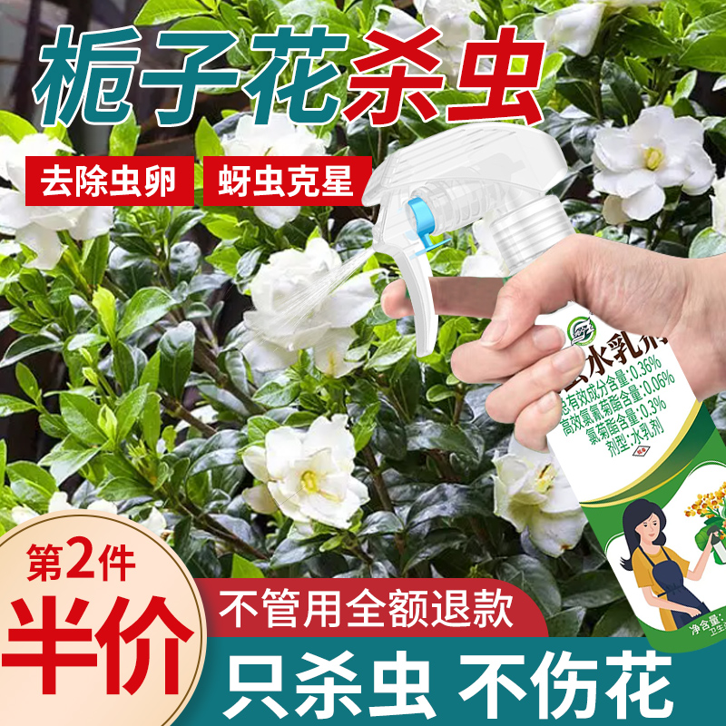 栀子花杀虫剂花卉植物土壤灭盆栽小飞虫药蚧壳虫蚜虫打虫家用治虫