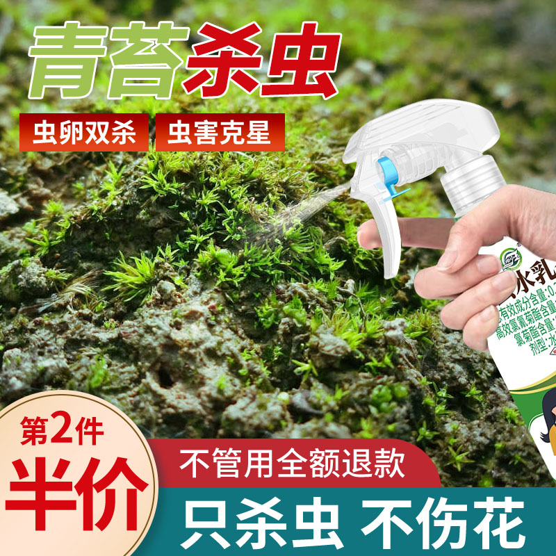 青苔杀虫剂花卉植物土壤灭盆栽小飞虫药蚧壳虫蚜虫打虫家用治虫