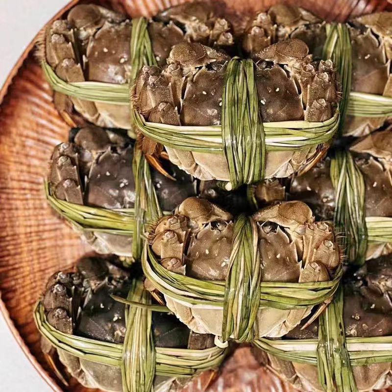 鲜活大闸蟹3.5母