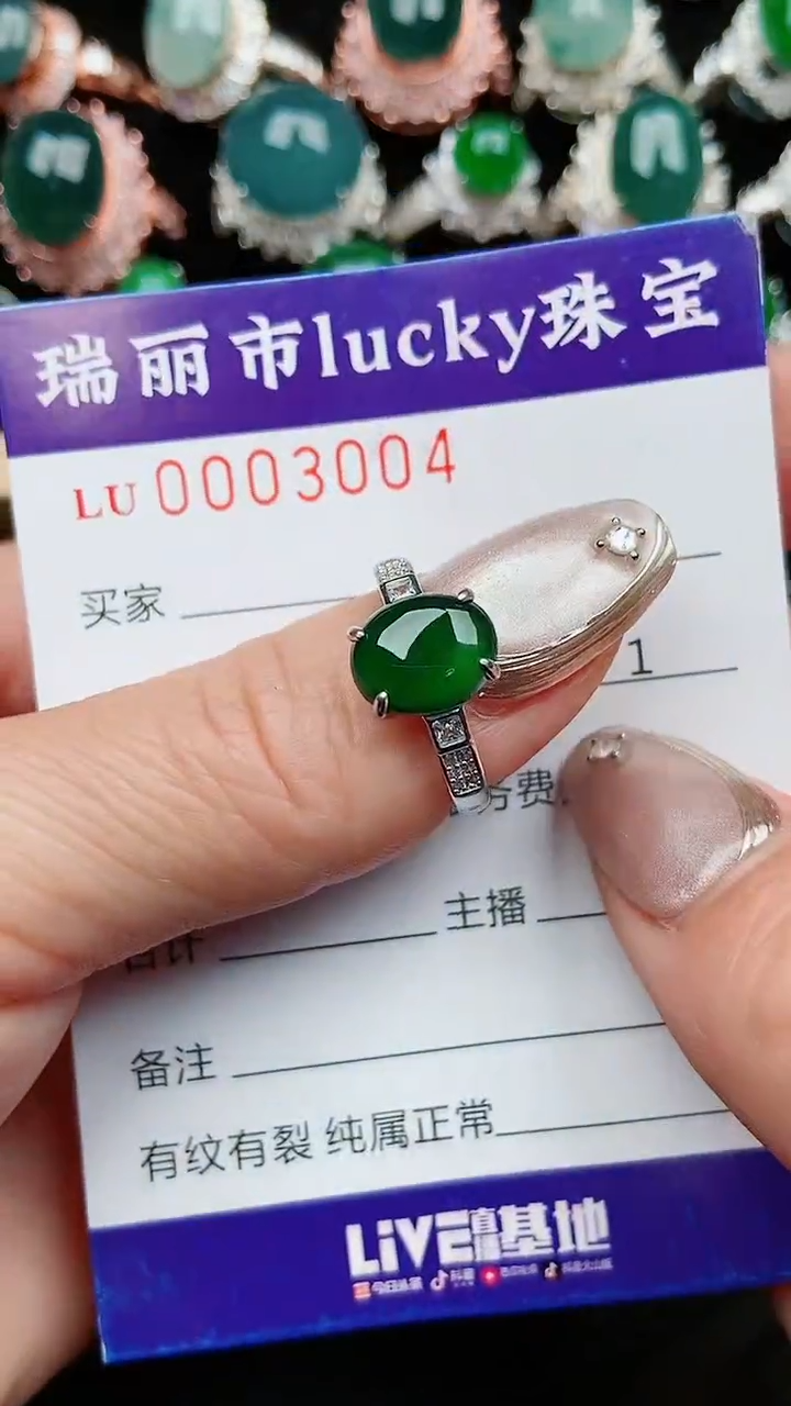 【闪购商品】翡翠颈饰银S925镶嵌4