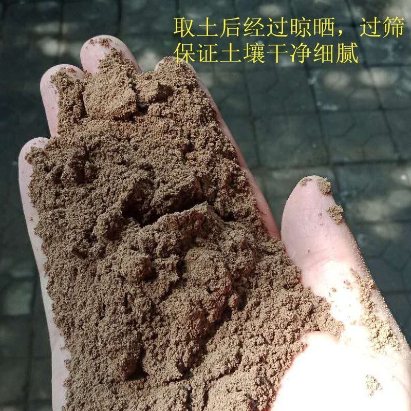 通用型天然田园土植土花卉优质种菜种花菜园使用植物普通水杨梅