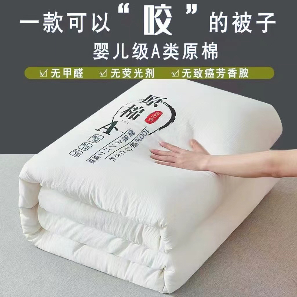 【小扬优选】被子冬被芯加厚保暖四季通用棉被单人学生宿舍春秋被