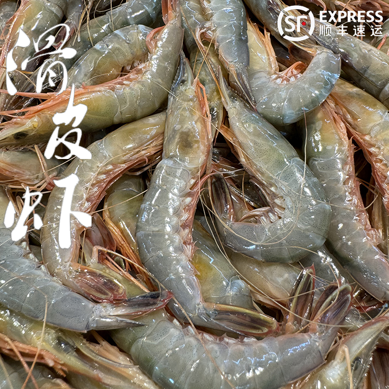 石浦滑皮虾清虾无虾粉新鲜虾清蒸白灼老少皆宜