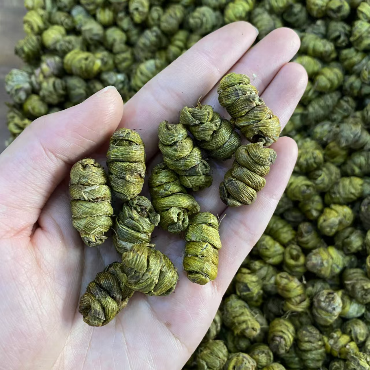铁皮石斛 石斛粒 正宗 胶质饱满 煲汤 煮水  搭配西洋参 散装食用