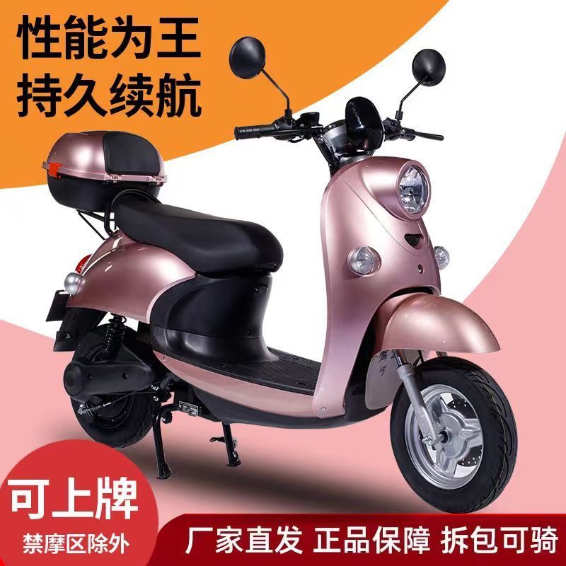 电动车新款电动车成人便宜厂家直销特价女士代步国标电轻摩款