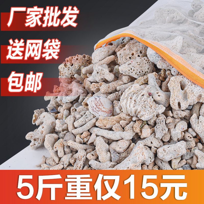 天然大块珊瑚骨滤材鱼缸过滤材料净水珊瑚石净化珊瑚砂过滤沙石