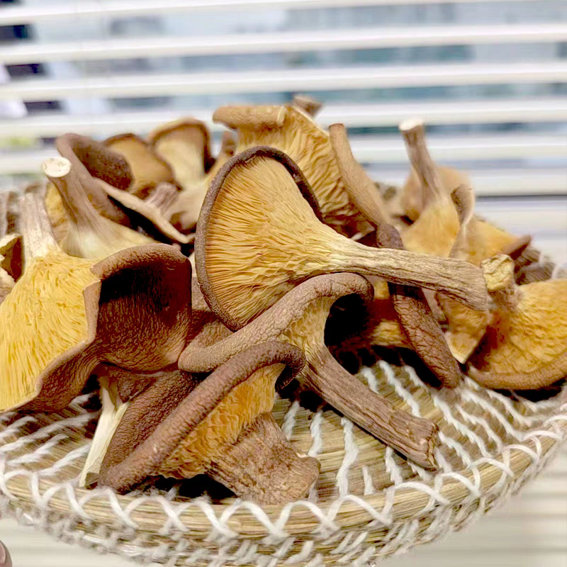 云南现收特产猪～肚菌250g/500g/1000g