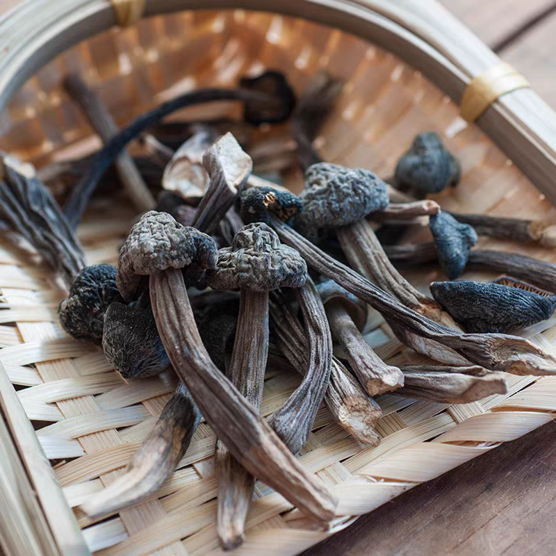 云南现收特产黑～鸡～枞～菌250g/500g