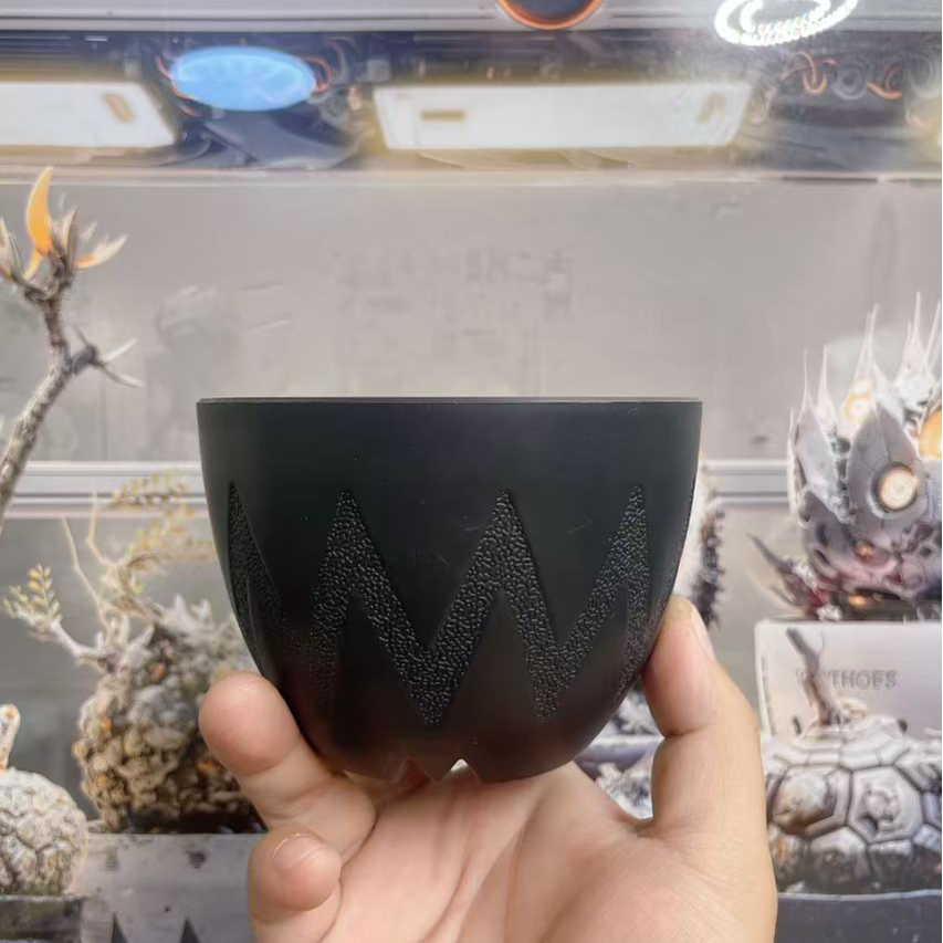 仙人球块根植物花盆 龙舌兰仙人球块根植物闪电厚盆