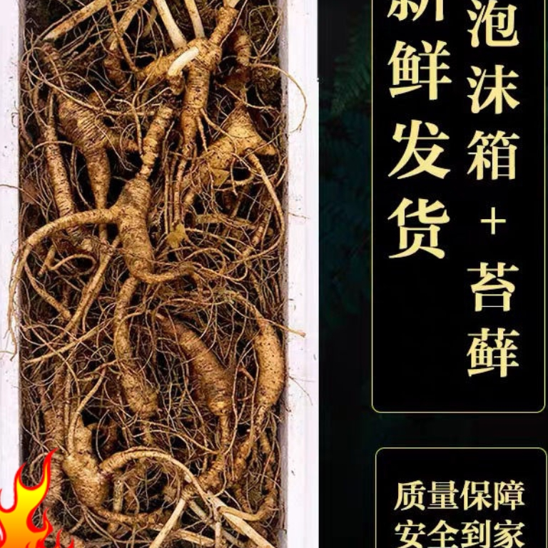 林下参，泡酒煲汤佳品