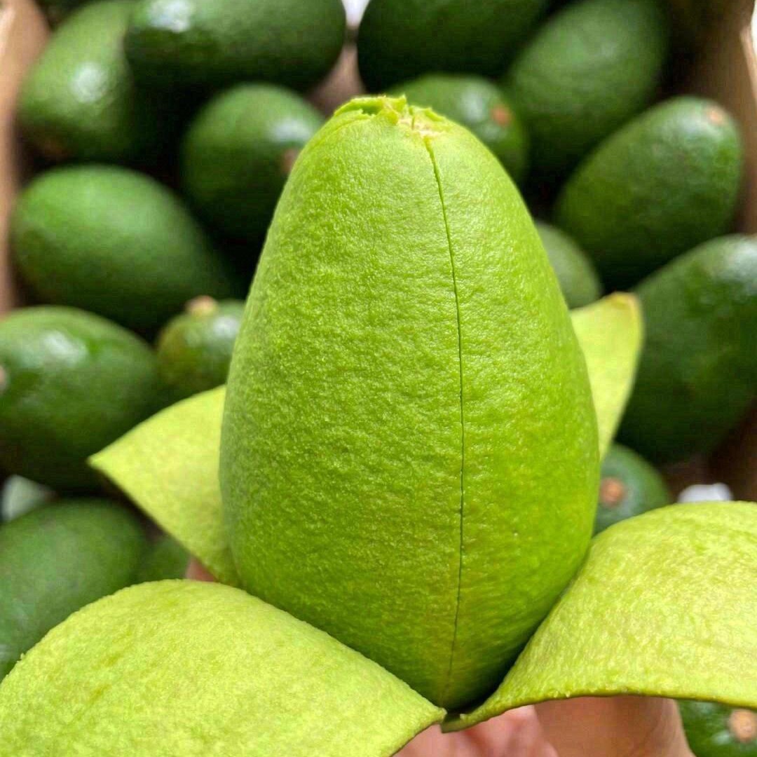 【进口牛油果】甜蜜爽滑孕妇单果每粒/150克+   香甜好吃清香包赔