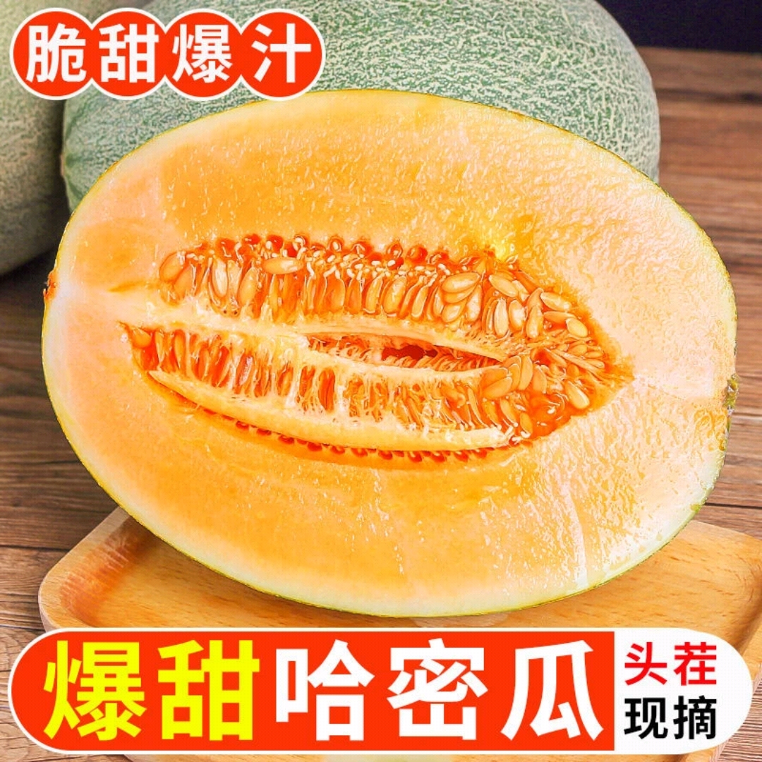 【八六王哈密瓜】新鲜哈密瓜网纹蜜瓜新鲜水果当季红金宝脆甜