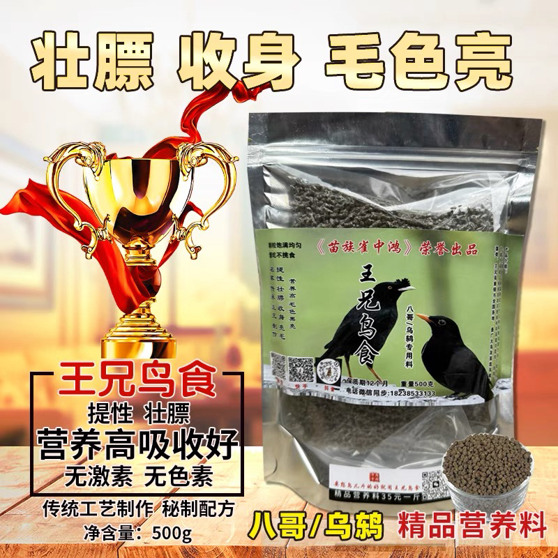 精品八哥/乌鸫料35