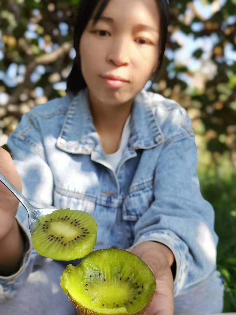 小果5斤，陕西周至绿心徐香猕猴桃奇异果、树上现摘、顺丰包邮