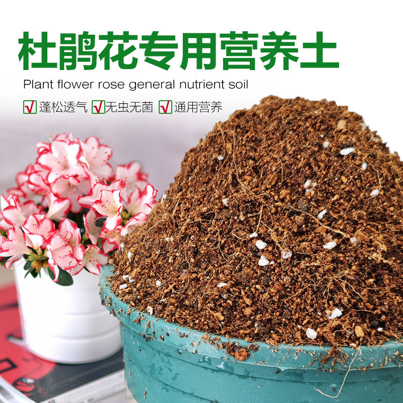 杜鹃花通用型酸性营养土椰糠泥炭土透气性好（顺丰包邮用品）