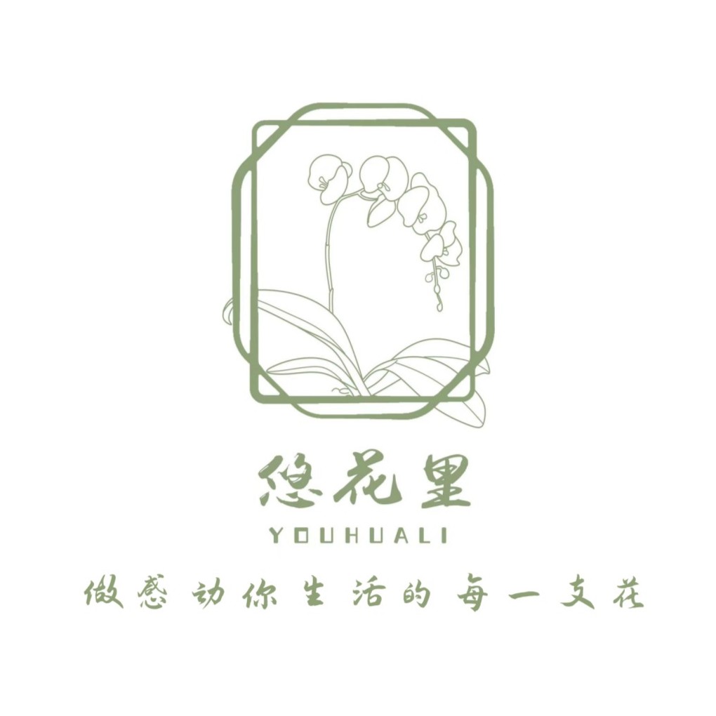 悠花里蝴蝶兰（斑点小白花全花）室内高档花