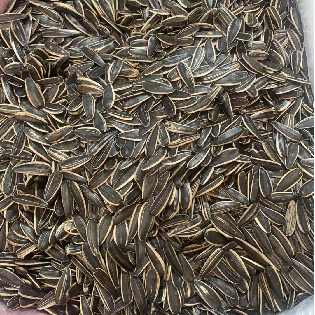 黑牙签瓜子约500g