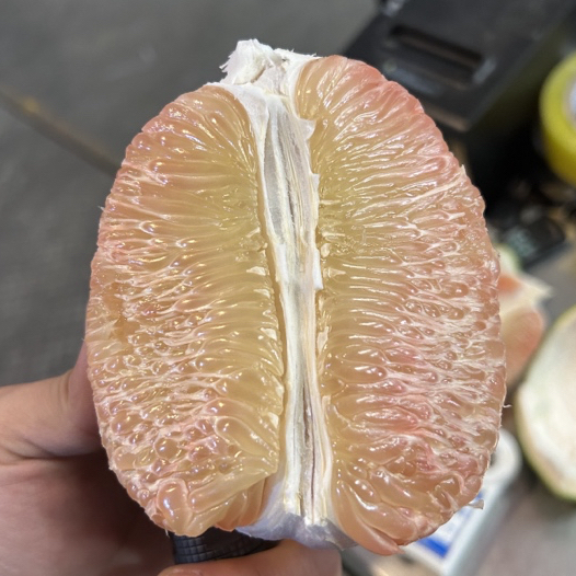 越南红肉翡翠蜜柚 净重5斤起