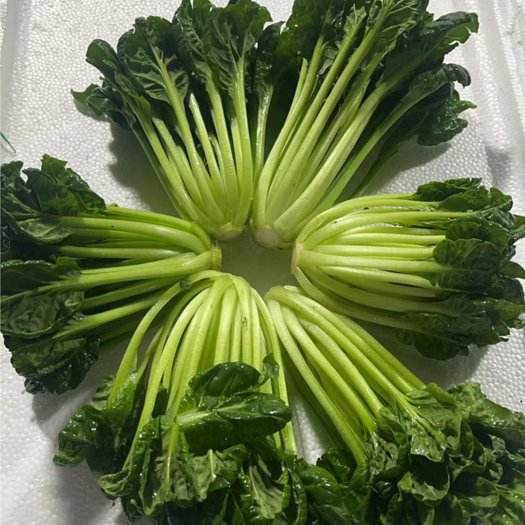 贵州直发乌塌菜（菊花菜）约250g±10/份（清炒、涮火锅）