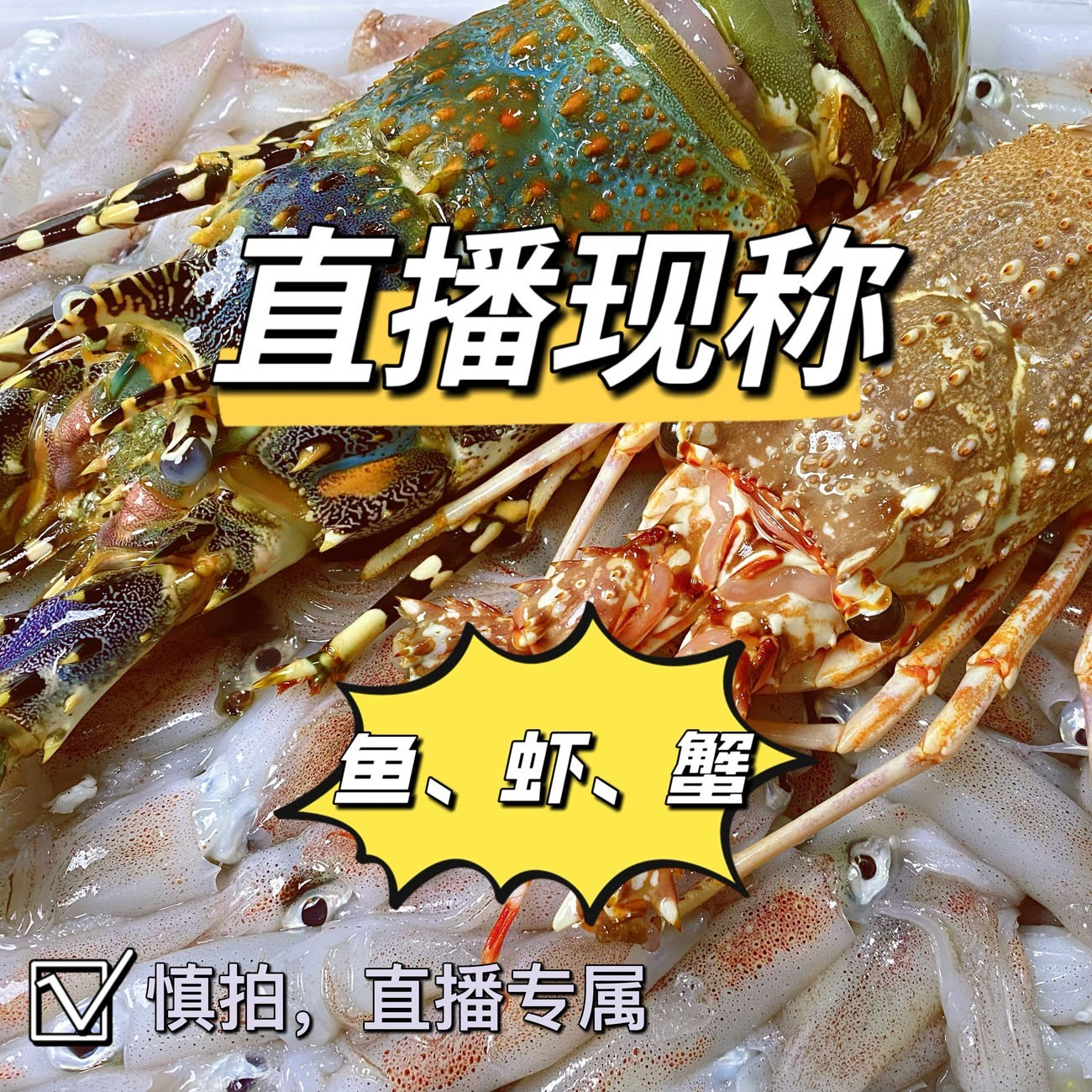 周边现称链接海鲜现称净含量50-10000g