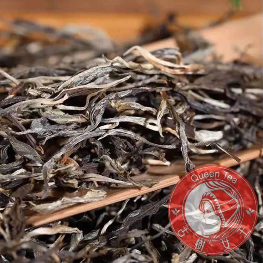 古树女王--【无量山大茶王】临时链接--生普 散茶 .