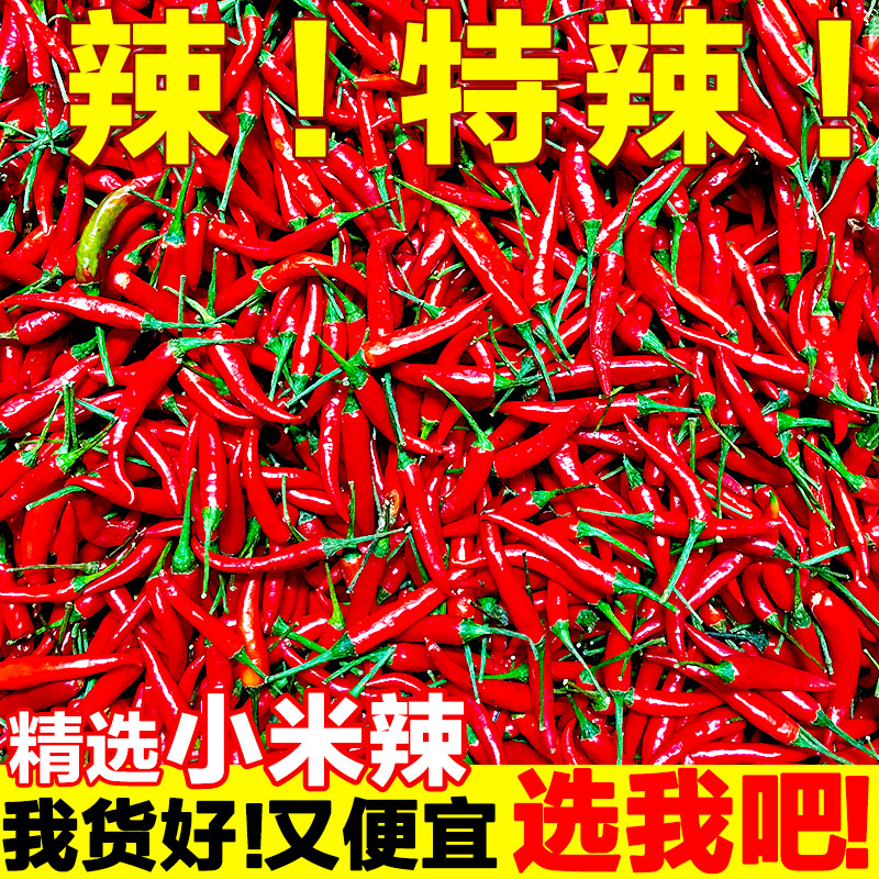 【坏果包赔】【半价抢】小米辣椒云南本地辣椒5斤/200g朝天椒超辣