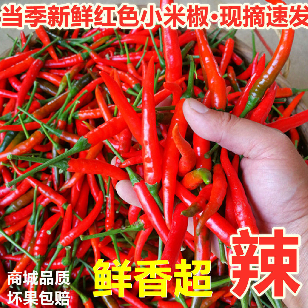 【坏果包赔】云南本地现摘新鲜小米辣椒红辣椒特辣指天椒朝天椒1斤