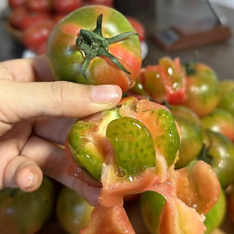 【精品大果：甄选绿腚】天然草莓柿子孕妇水果皮薄肉后五斤装特产