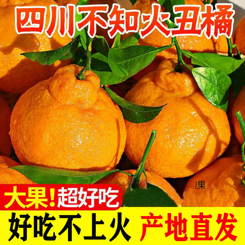 正宗四川不知火丑橘新鲜整箱水果当季丑八怪柑橘桔子多汁当季细嫩
