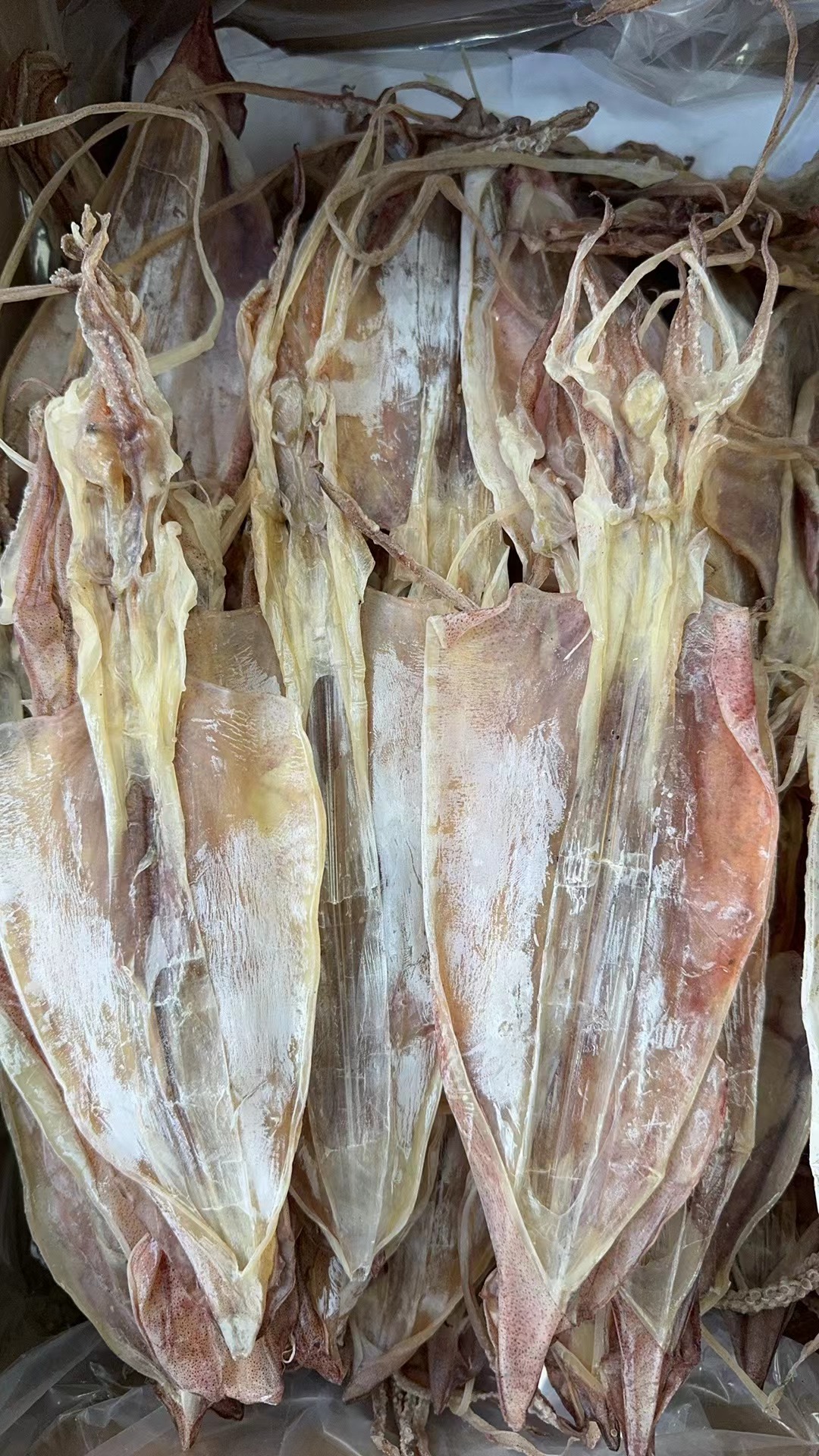 【徐剑锋推荐】新鲜本港大鱿鱼海鲜干货鱿鱼干500克