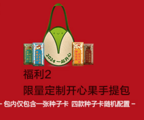 开心果毛毡包