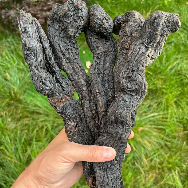 【土特产】食用农产品 沙漠肉肉  可泡英雄酒