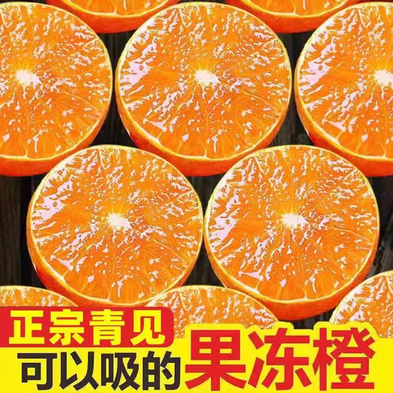 【纯补贴！限一单】四川青见果冻橙 新鲜香甜皮薄多汁