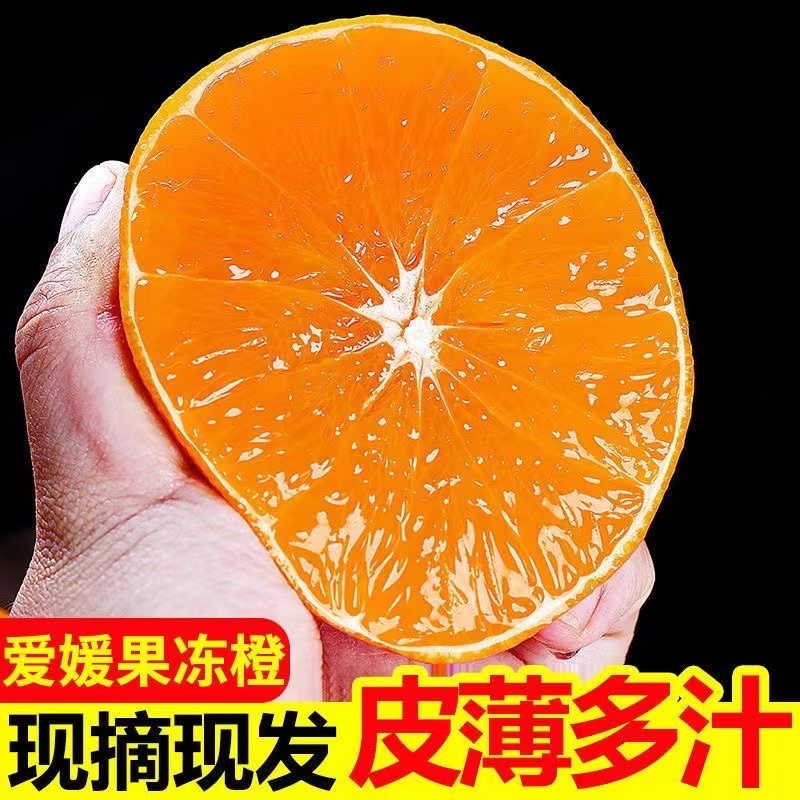 四川爱媛38号果冻橙 一份3斤