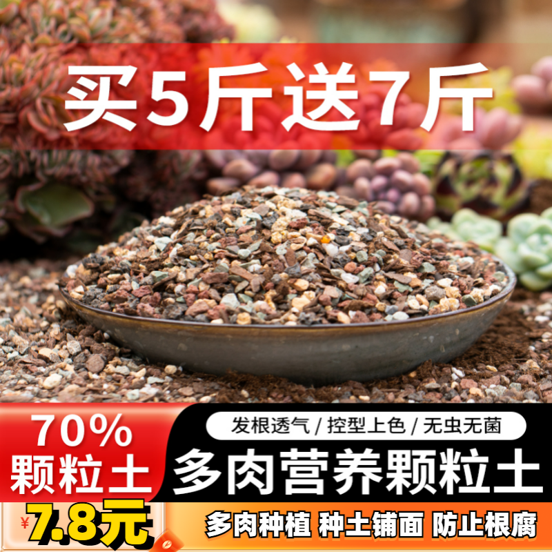 【买五斤送七斤】多肉专用颗粒土控型上色多肉土疏松透气发根营养土