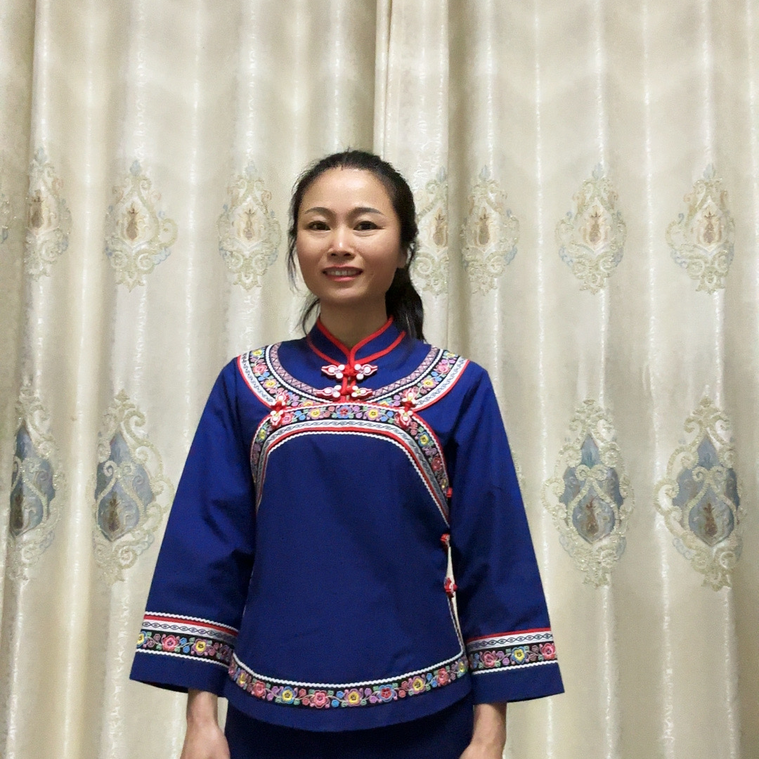 民族风修身女士传统复古绣花女款长袖民族舞壮族服饰休闲苗族上衣