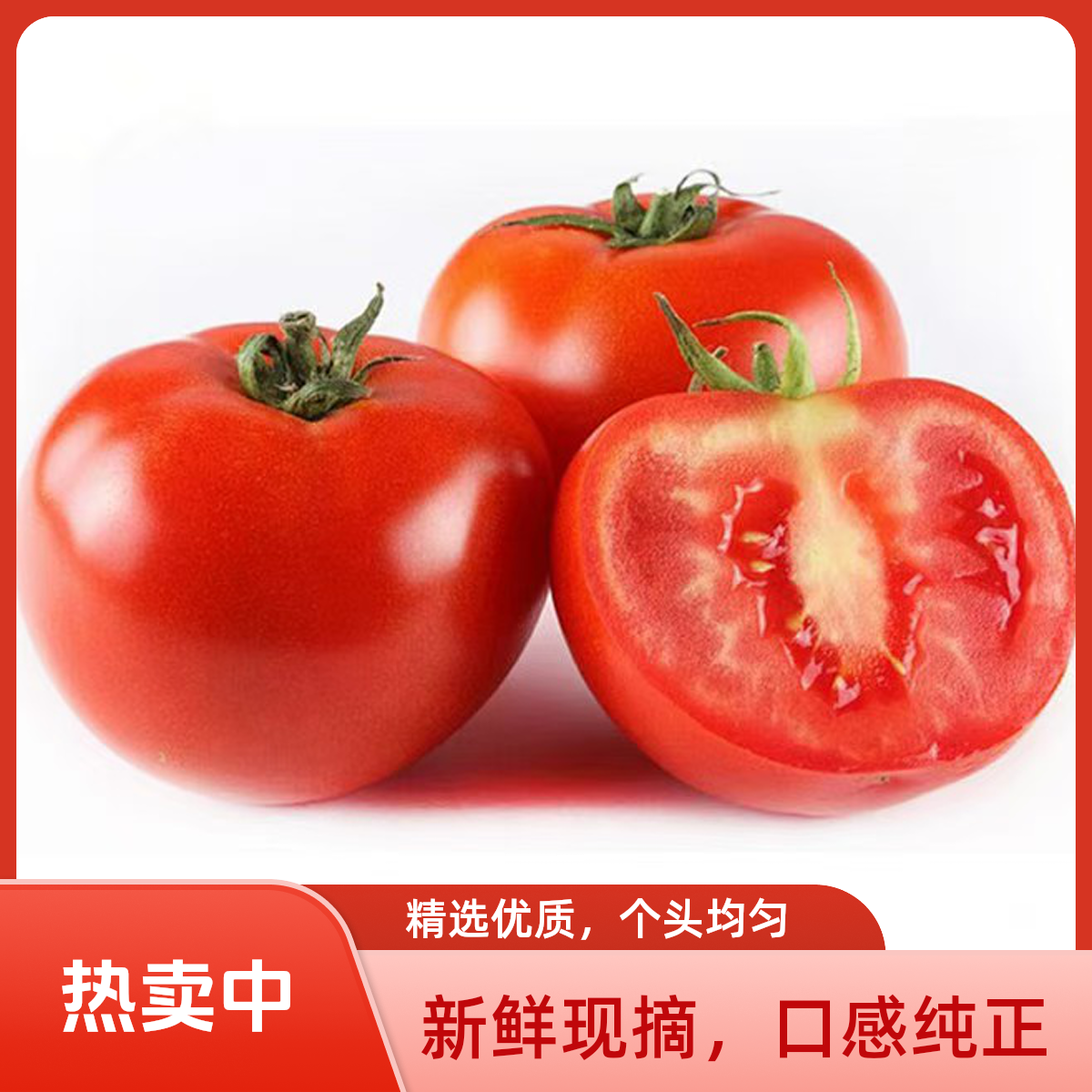【双11】云南高原精选露天西红柿番茄高品质新鲜自然熟沙瓤生吃包邮